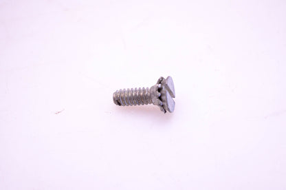 OMC 307163 Screw & Lock Washer NOS