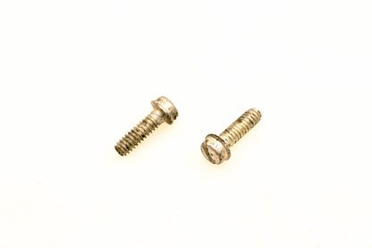 OMC 304889 Screws Qty 2 NOS
