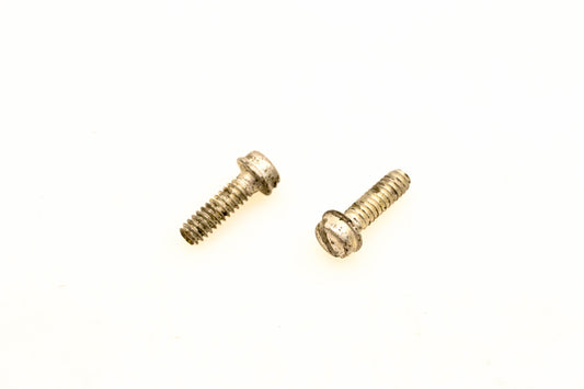 OMC 304889 Screws Qty 2 NOS