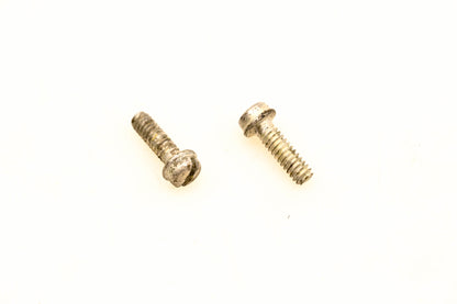 OMC 304889 Screws Qty 2 NOS