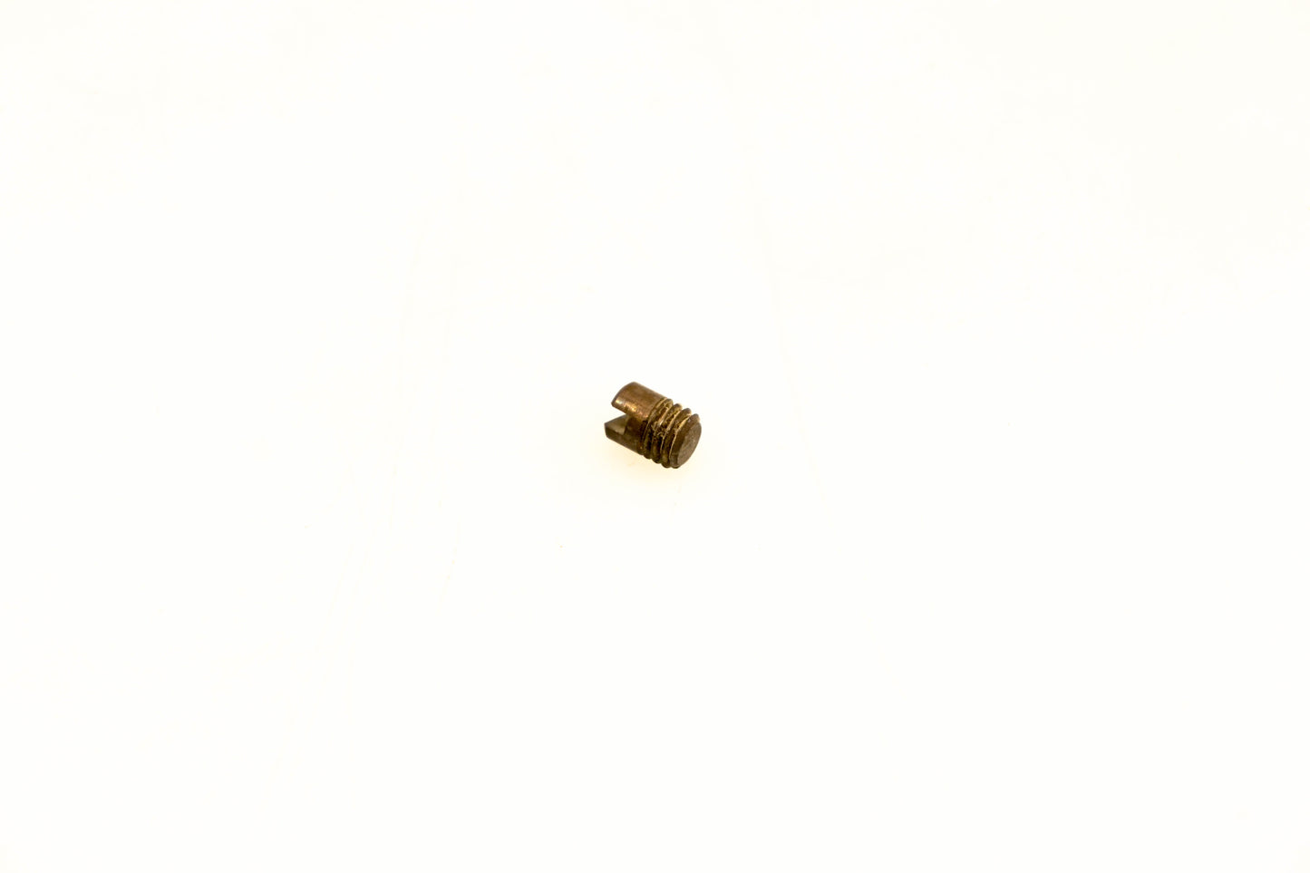 OMC 303041 Drain Bowl Screw NOS