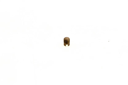 OMC 303041 Drain Bowl Screw NOS