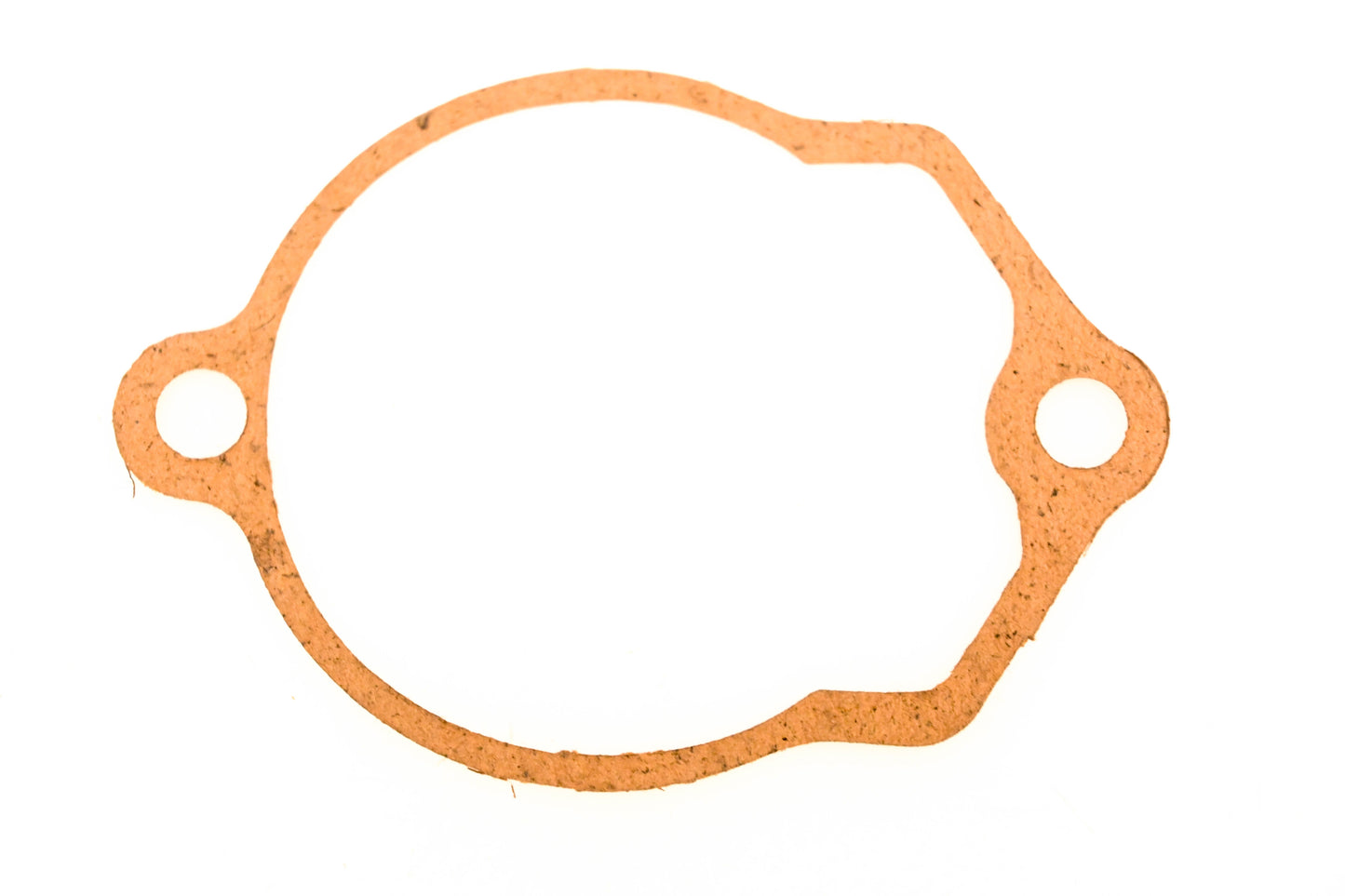 OMC 171069 Gasket NOS