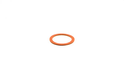 OMC 171318 Screen Plug Gasket NOS