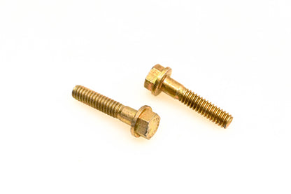 OMC 554306 Screws Qty 2 NOS