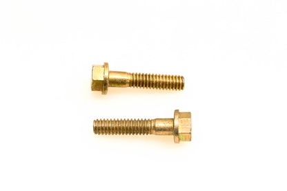 OMC 554306 Screws Qty 2 NOS