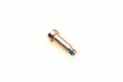 OMC 333770 Pivot Screw NOS