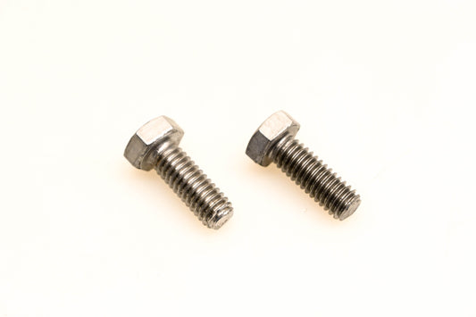 OMC 302863 Screws Qty 2 NOS