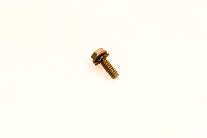 OMC 312975 Screw NOS