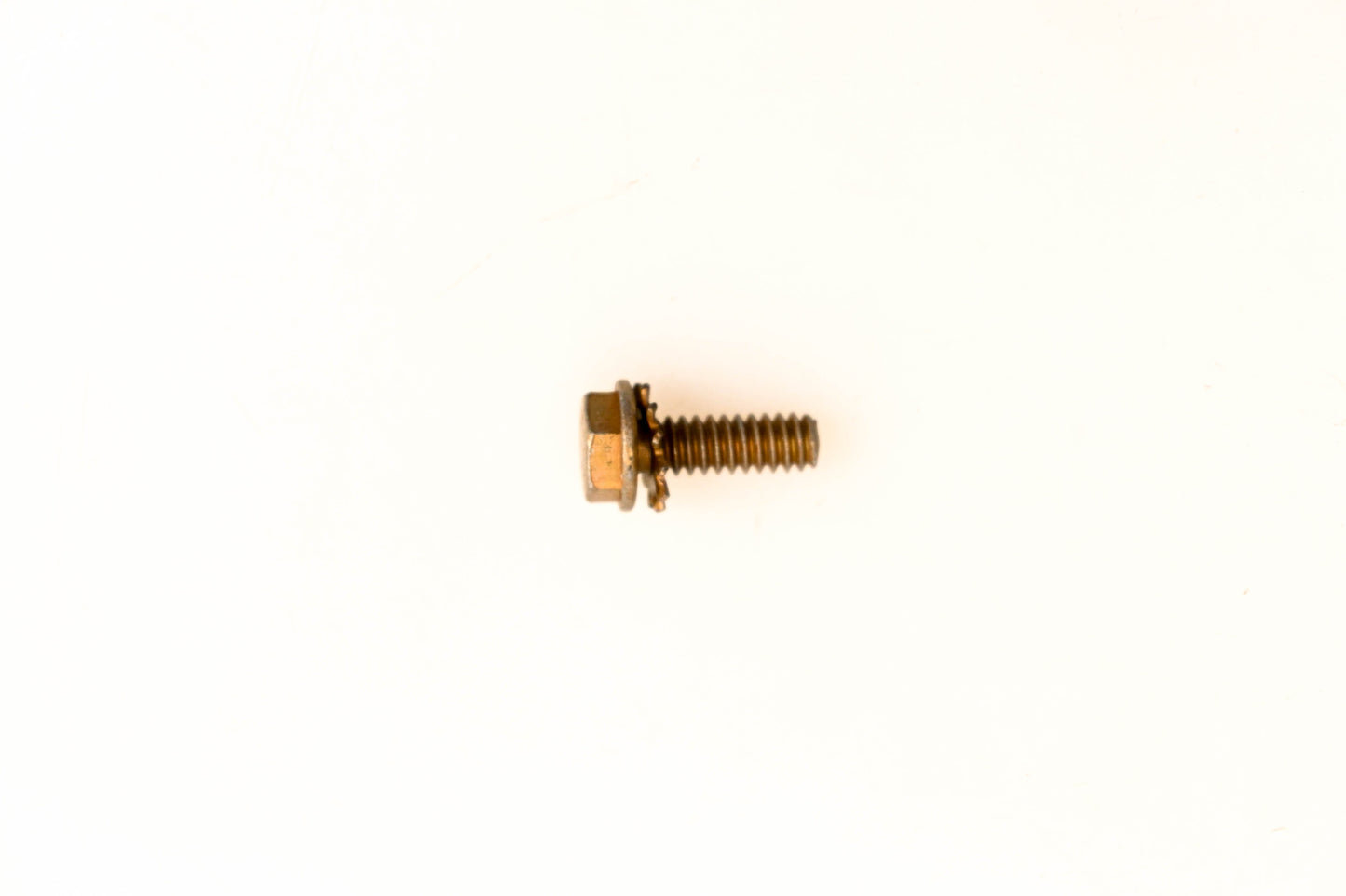 OMC 312975 Screw NOS