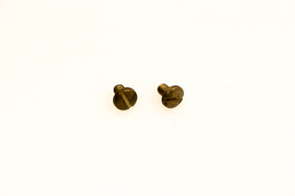 OMC 315003 Screws Qty 2 NOS