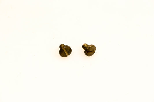 OMC 315003 Screws Qty 2 NOS