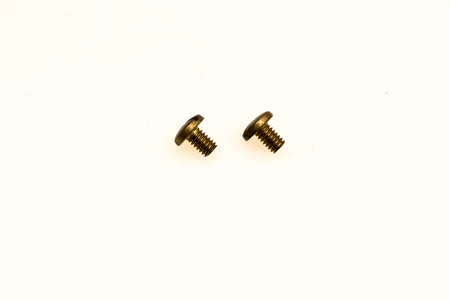 OMC 315003 Screws Qty 2 NOS