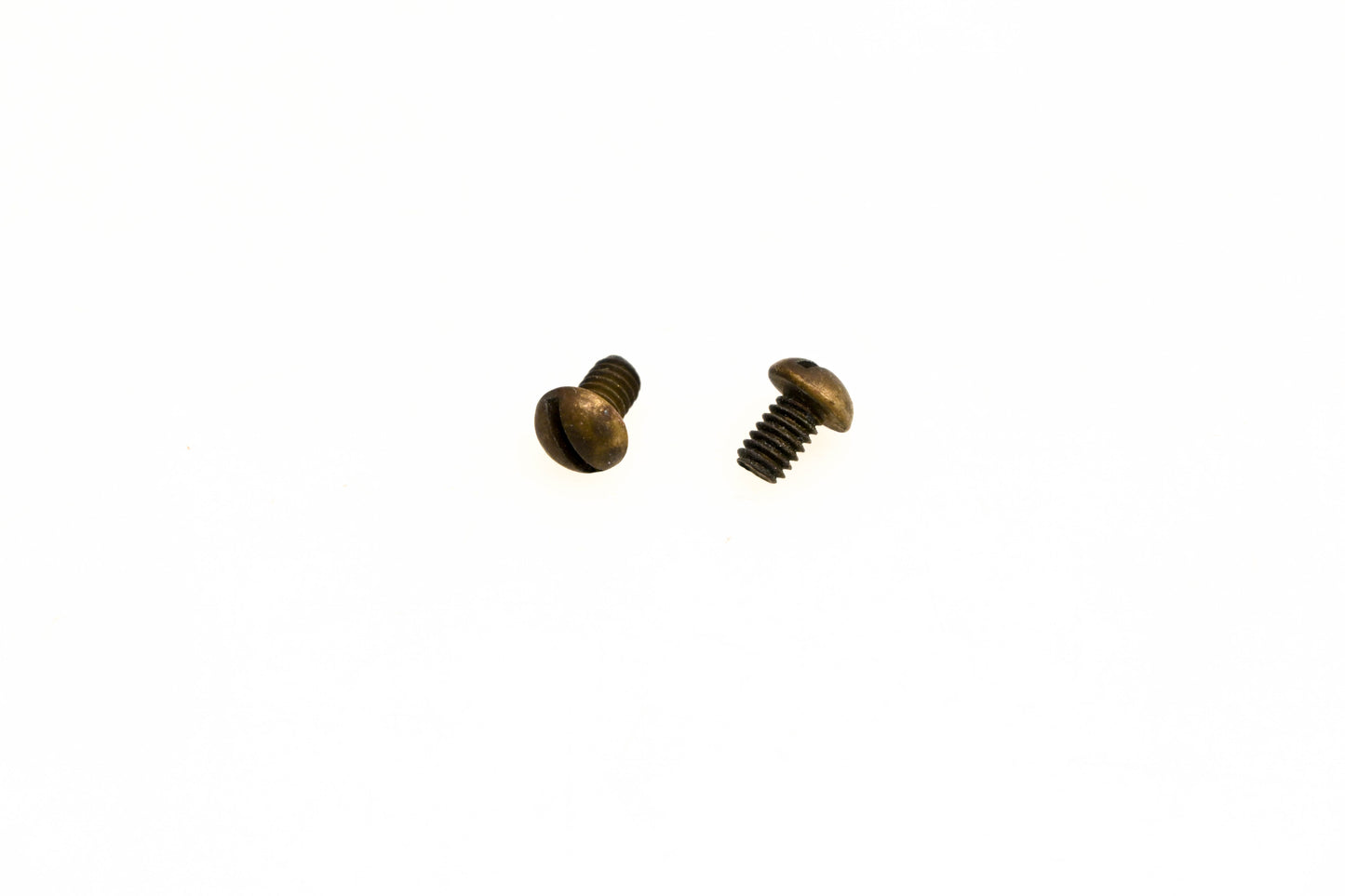 OMC 306559 Screws Qty 2 NOS