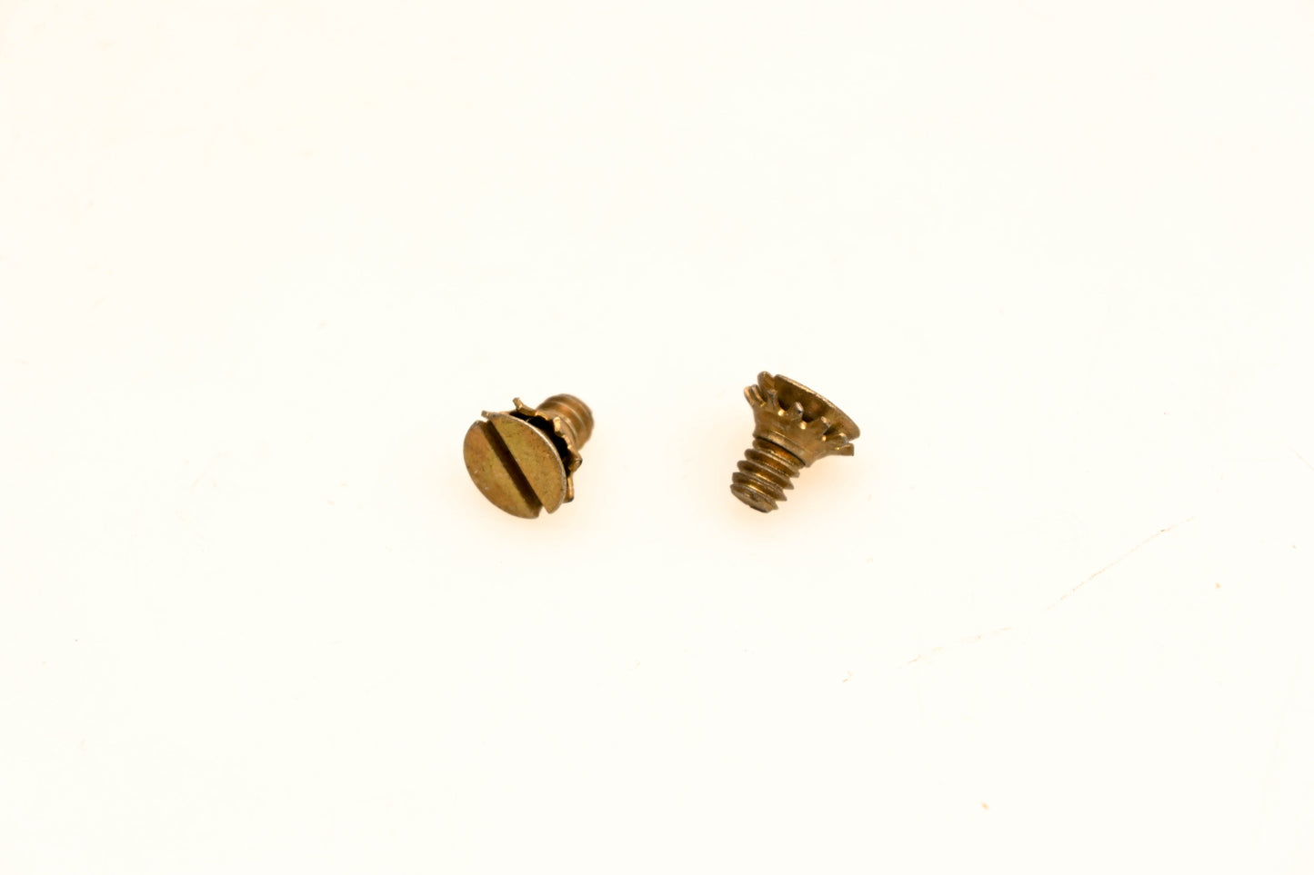 OMC 510297 Screws Qty 2 NOS