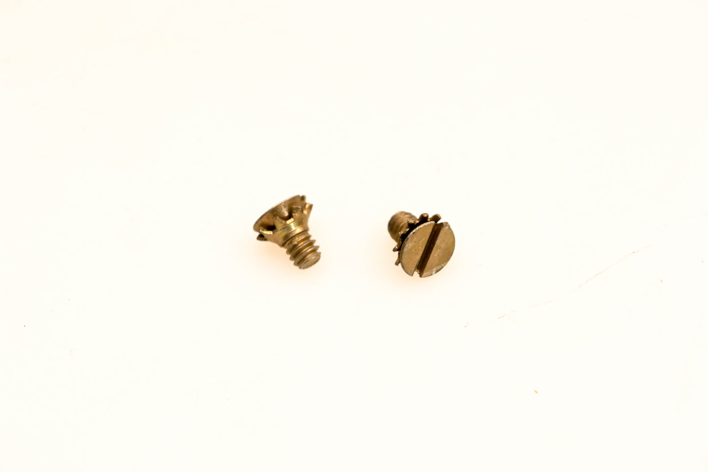 OMC 510297 Screws Qty 2 NOS