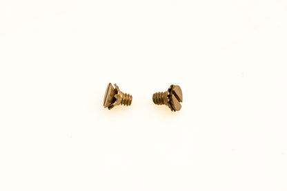 OMC 510297 Screws Qty 2 NOS