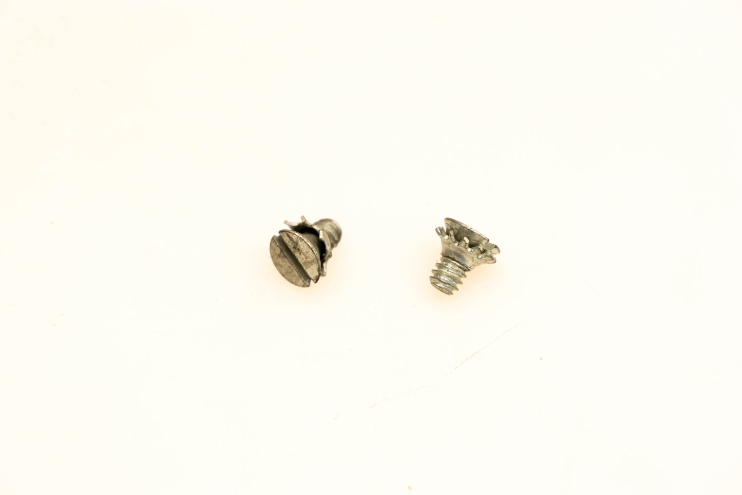 OMC 510297 Screws Qty 2 NOS