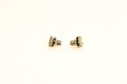 OMC 510297 Screws Qty 2 NOS