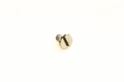 OMC 510293 Screw NOS