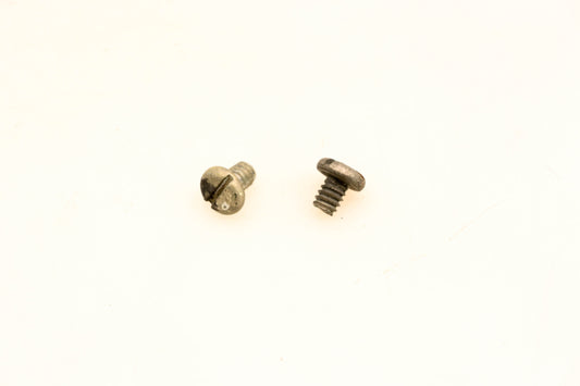 OMC 510278 Screws Qty 2 NOS
