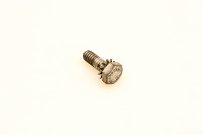 OMC 553556 Screw NOS
