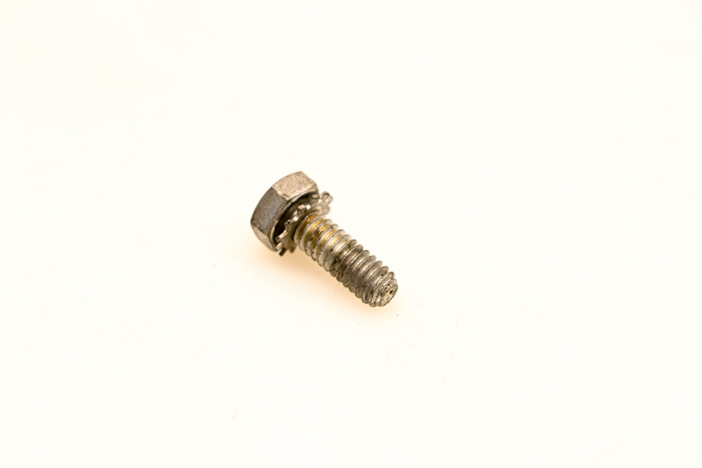OMC 553556 Screw NOS
