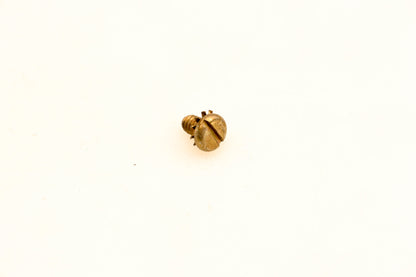 OMC 510193 Screw NOS