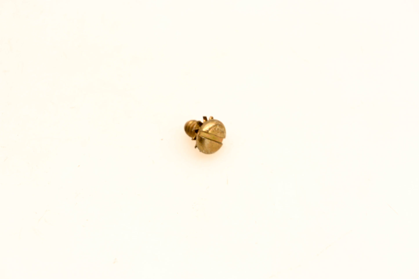 OMC 510193 Screw NOS