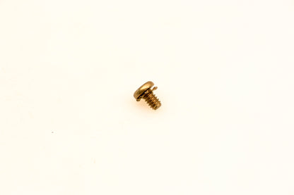 OMC 510193 Screw NOS