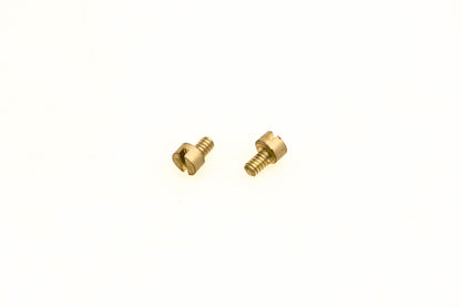 OMC 510185 Ignition Screws Qty 2 NOS