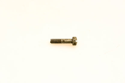 OMC 510192 Magneto Plate Screw NOS