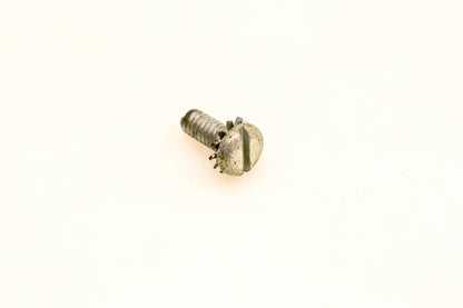 OMC 551706 Screw NOS