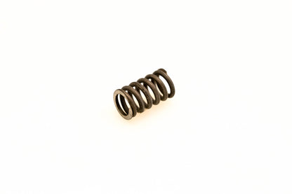 OMC 552498 Spring NOS