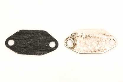 OMC 305263 Lower Housing Plate & Gasket