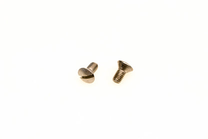 OMC 318238 Screws Qty 2 NOS