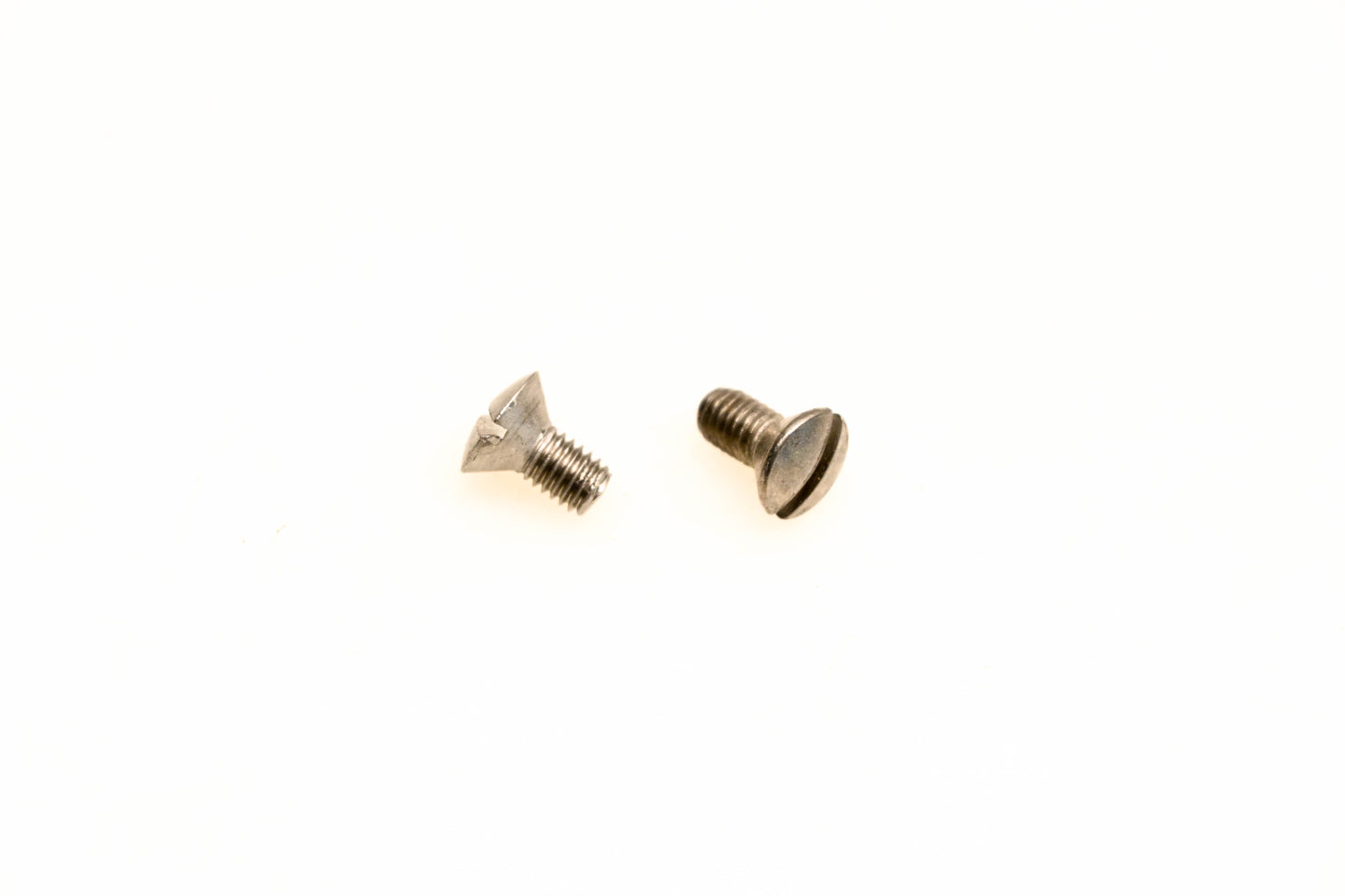 OMC 318238 Screws Qty 2 NOS