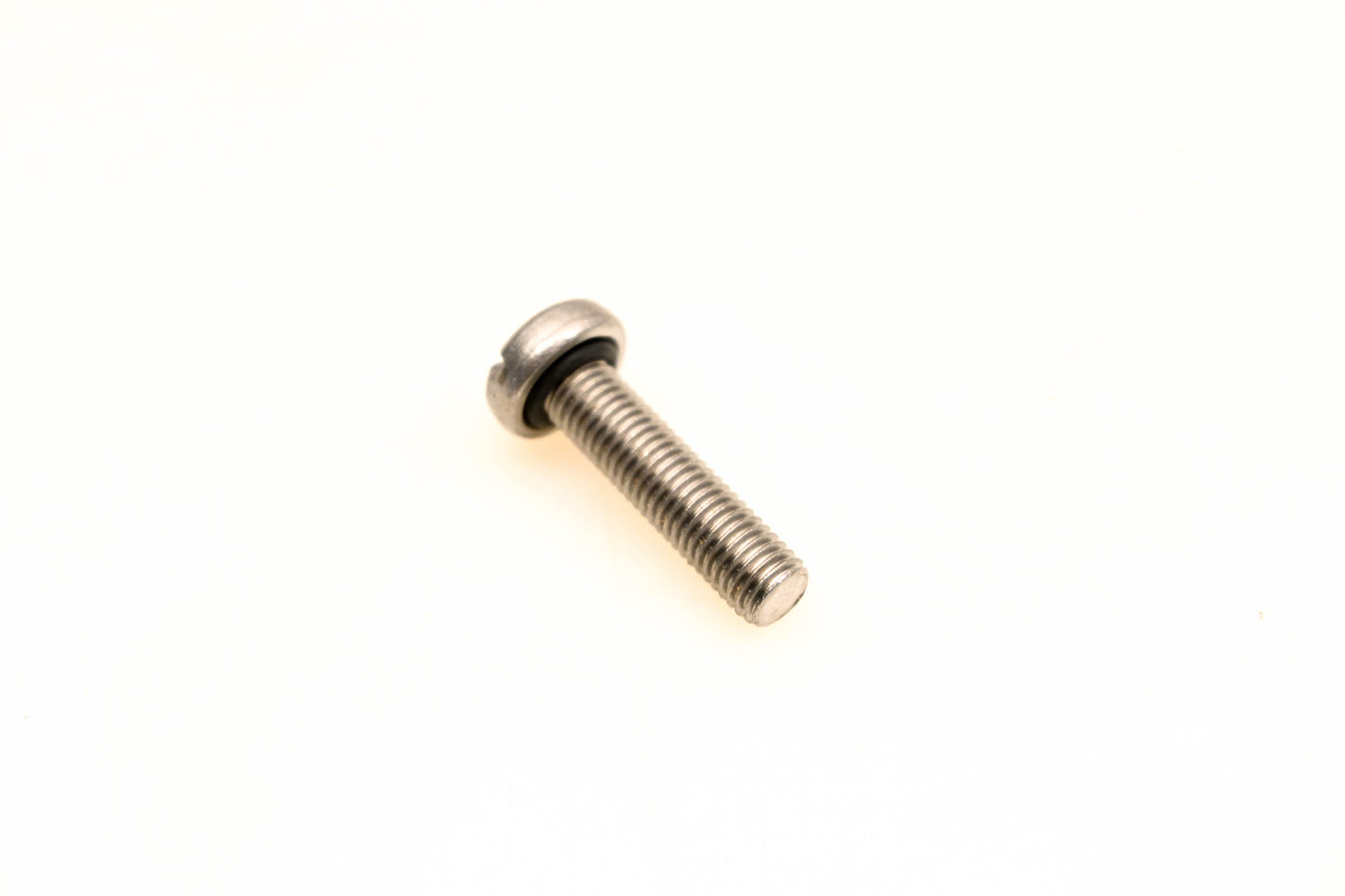 OMC 310412 Screw With O-Ring NOS