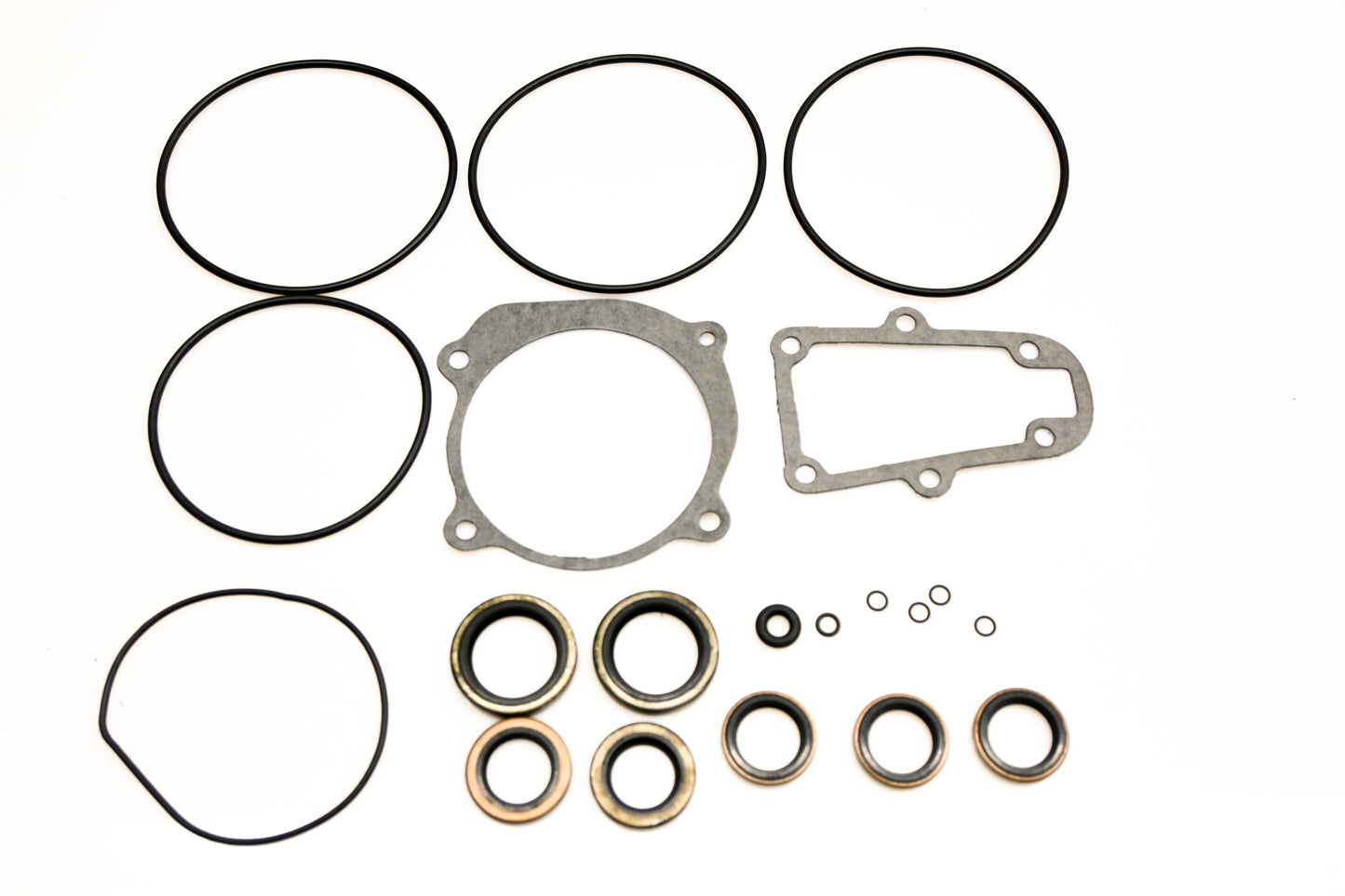 Aqua Power 3951, 396354, 439141 Lower Gearcase Seal Kit NOS