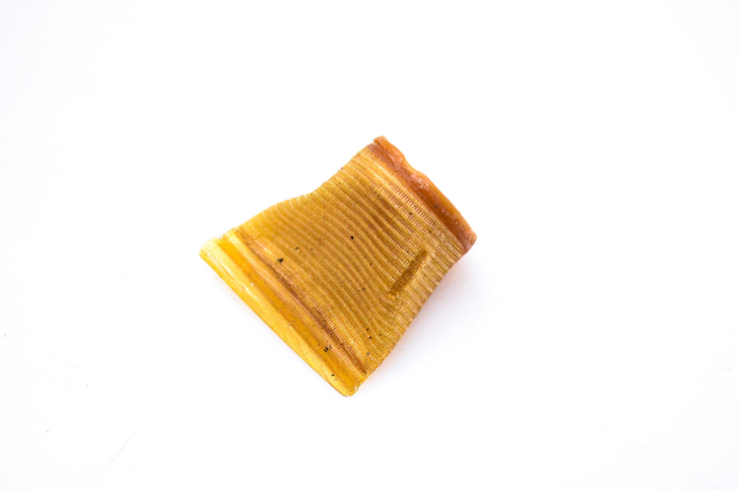 OMC 308239 Fuel Filter NOS