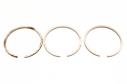 OMC 381496 Piston Ring Kit NOS