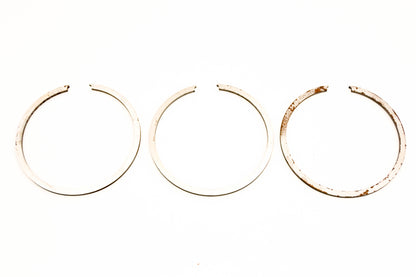 OMC 381496 Piston Ring Kit NOS