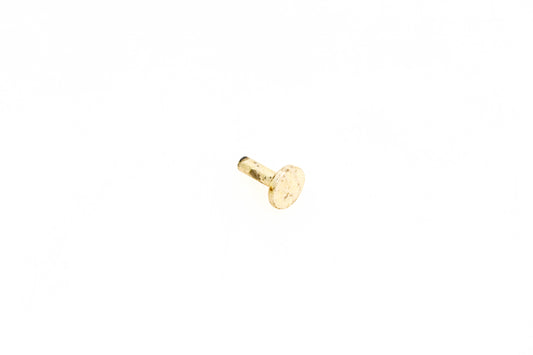 OMC 308159 Rivet NOS