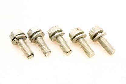 OMC 308375 Screws Qty 5 NOS