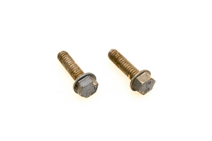 OMC 309646 Screws Qty 2