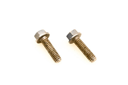 OMC 309646 Screws Qty 2