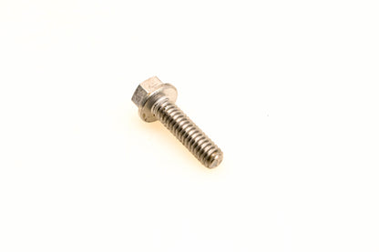OMC 309646 Screw NOS