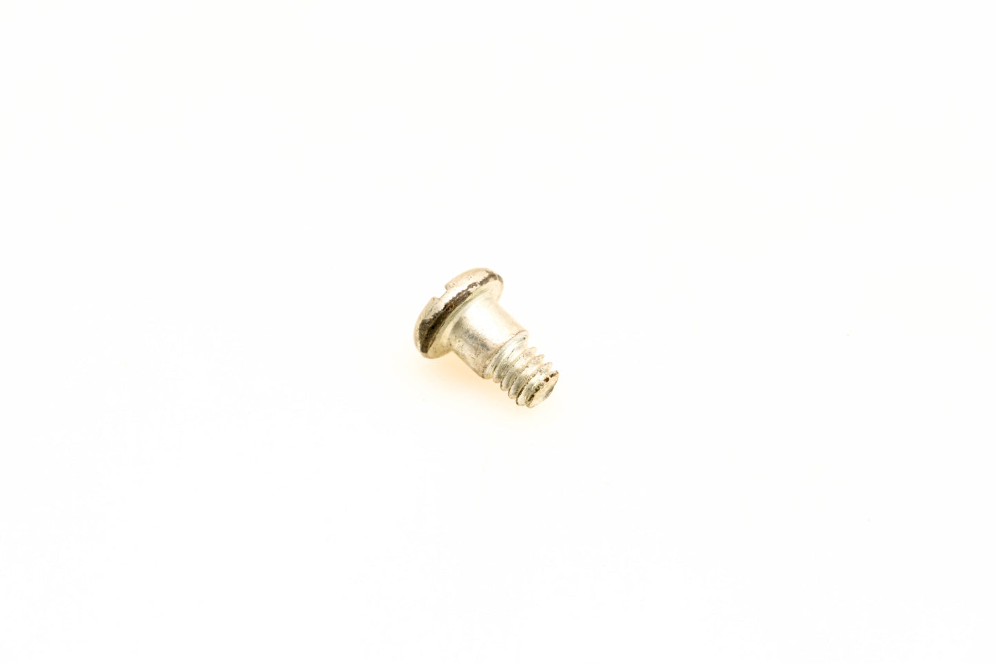 OMC 309887 Screw NOS