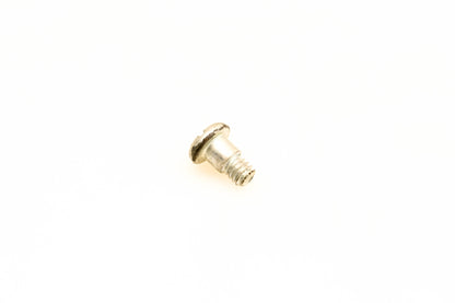 OMC 309887 Screw NOS