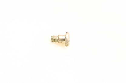OMC 309887 Screw NOS